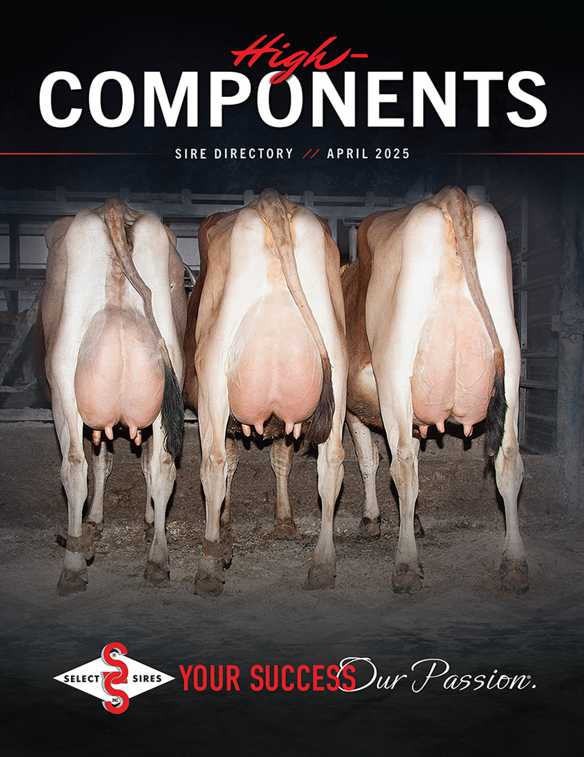 cover-high-component