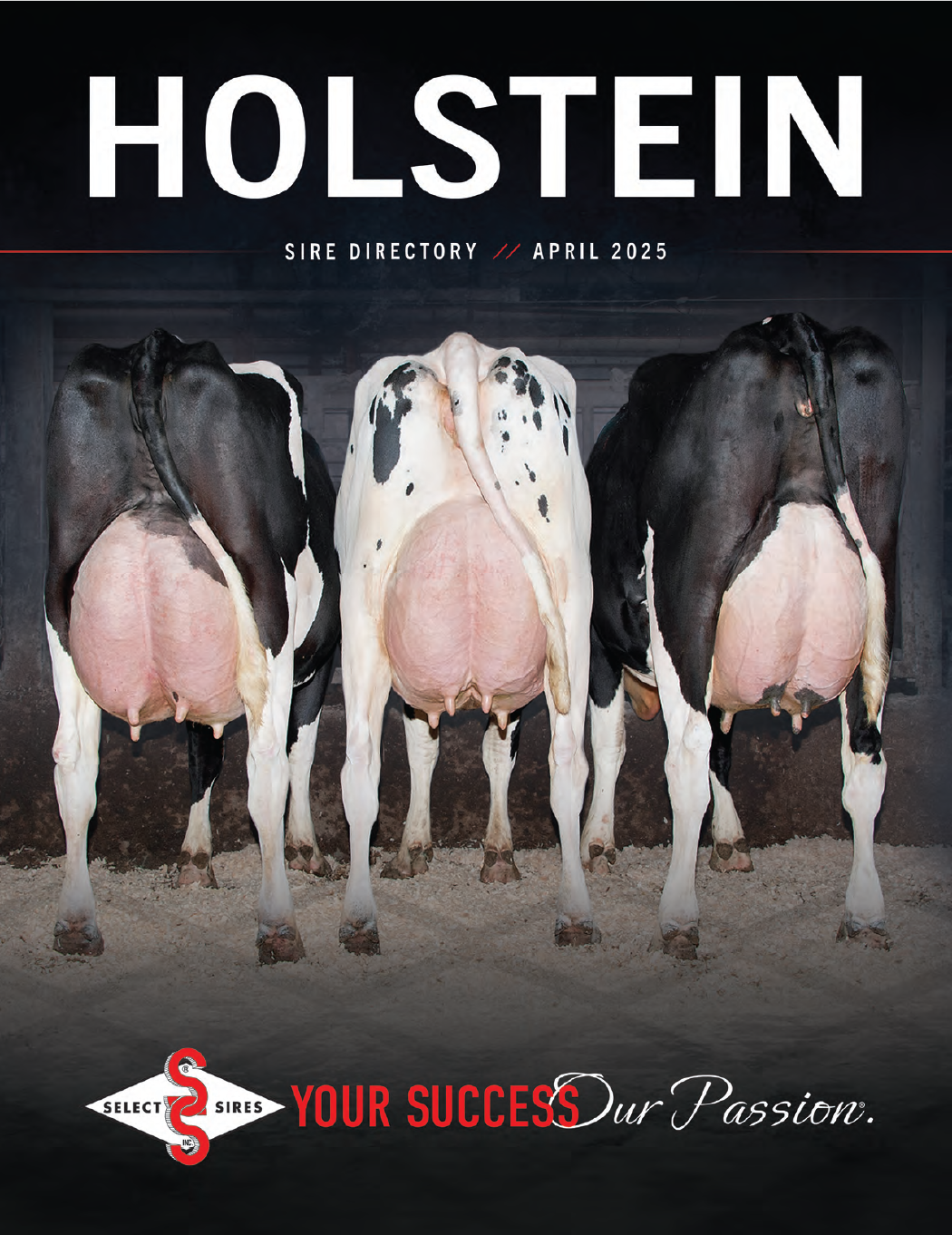 cover-holstein