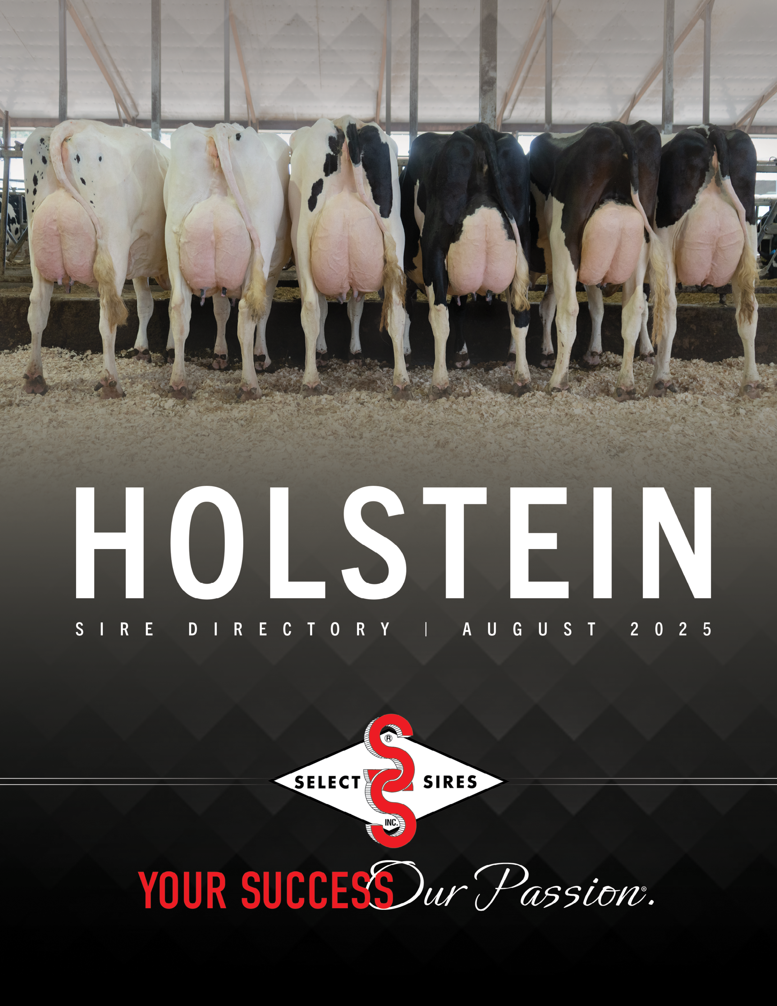 cover-holstein