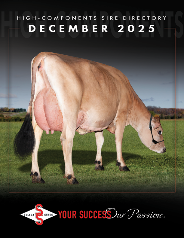 cover-high-component