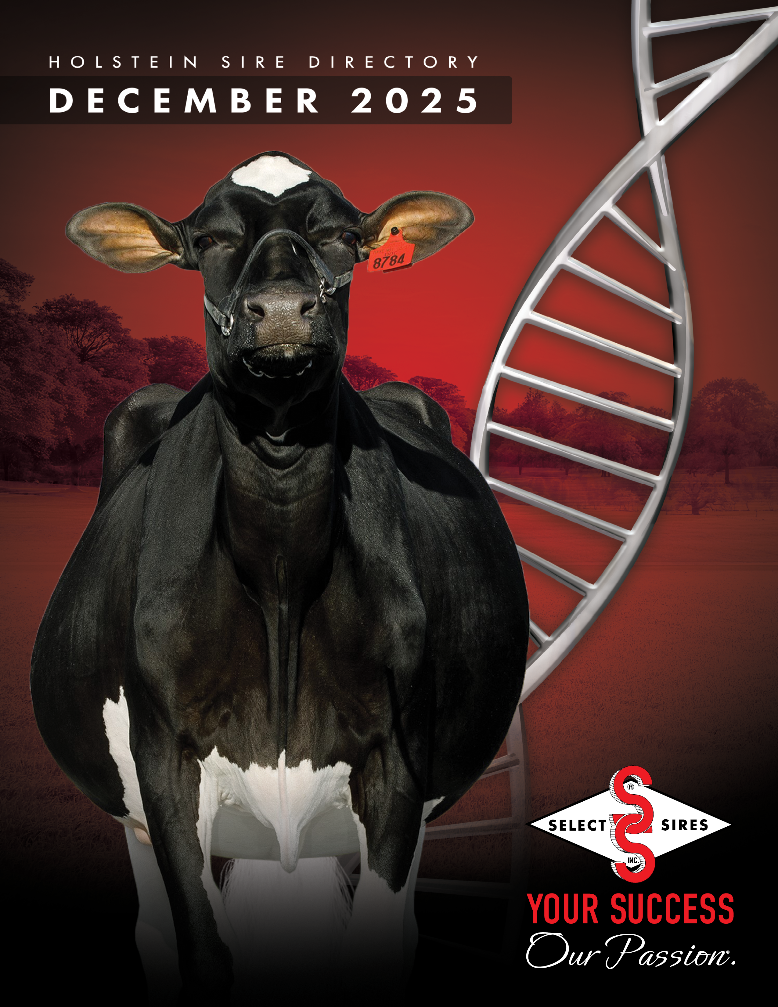cover-holstein