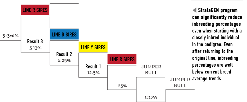 SelectaGEN inbreeding dairy program